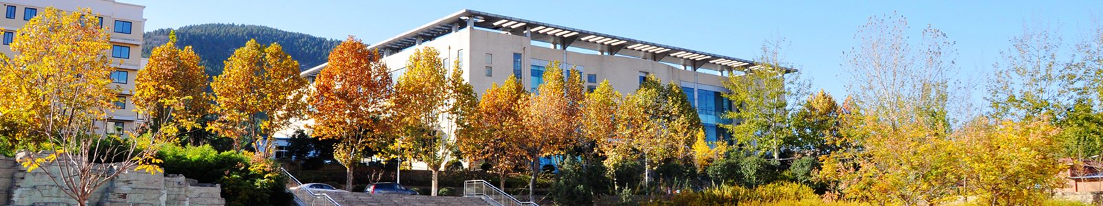 山东省临沂市聚才六路 电话